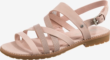 TIMBERLAND Strap Sandals 'Chicago Riverside' in Pink: front