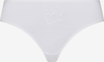 Hanro Panty ' Naila ' in White: front