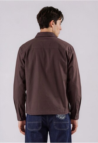 Veste mi-saison DICKIES en marron : derrière