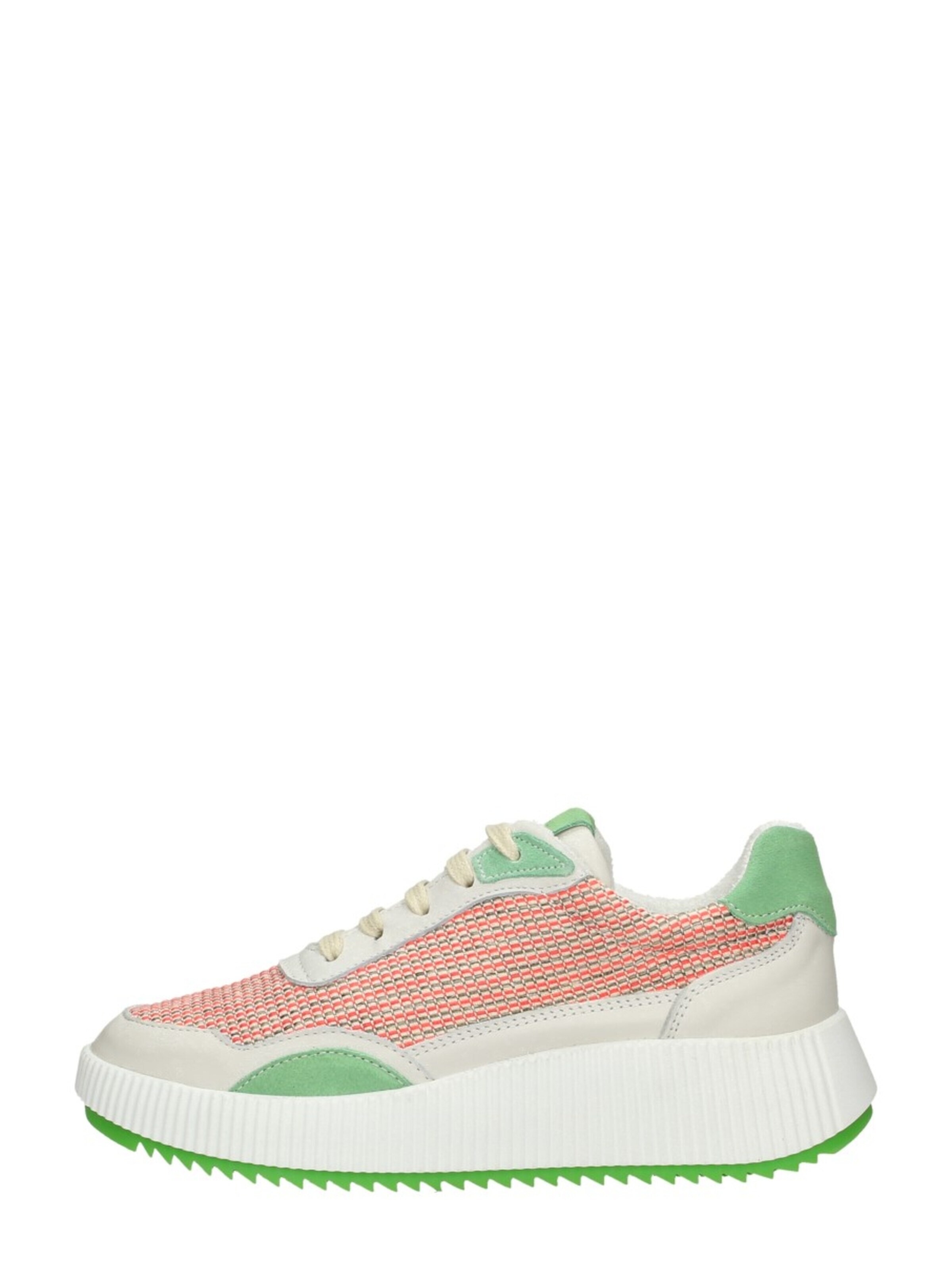 Palpa Sneakers laag in Groen
