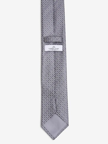 Andrew James Tie in Grey