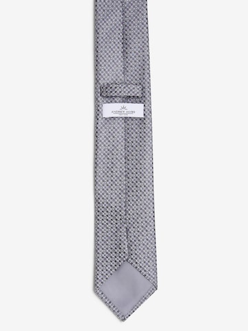 Andrew James Tie in Grey