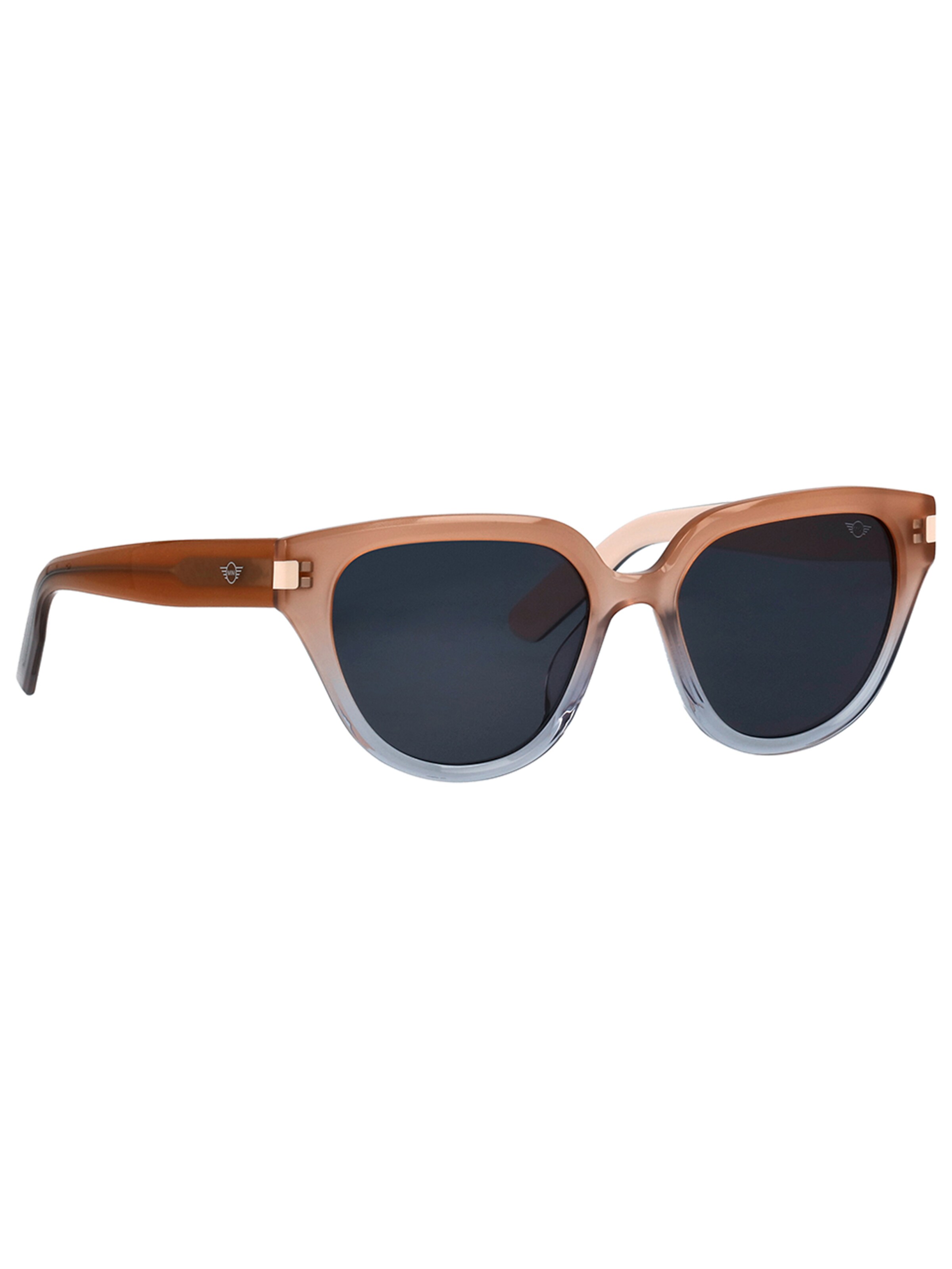 MINI Eyewear Sunglasses in Brown