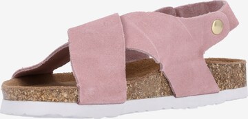 Cruz Sandals 'Peit' in Mixed colors