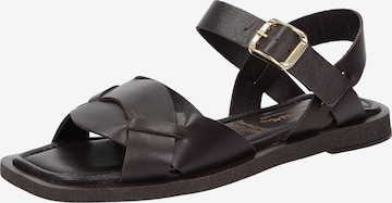 Sandales à lanières 'Molsirka-703' SIOUX en marron : devant
