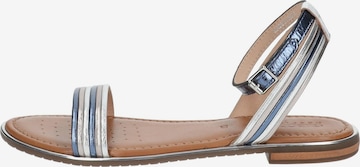 GEOX Sandalen met riem in Blauw
