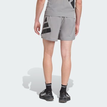 ADIDAS TERREX - regular Pantalón de montaña 'Xperior' en gris