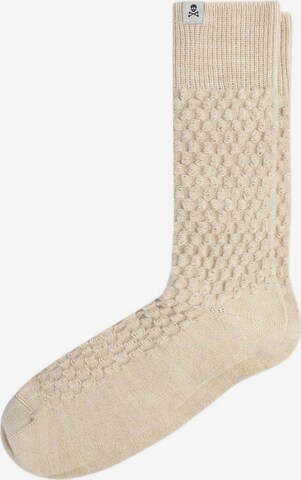 Scalpers Socken in Beige: predná strana