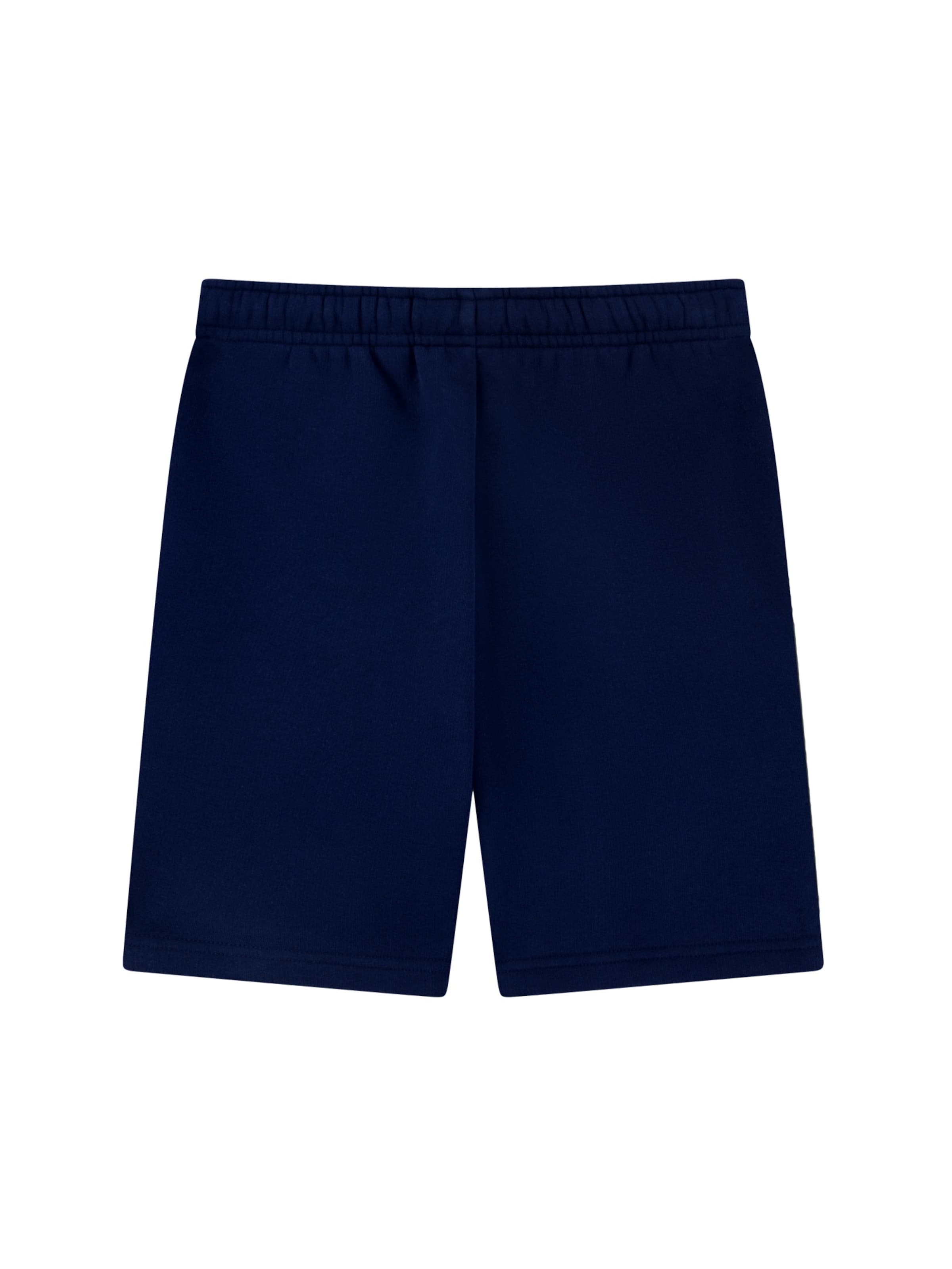 LACOSTE Regular Sportbroek 'LCB Core' in Blauw