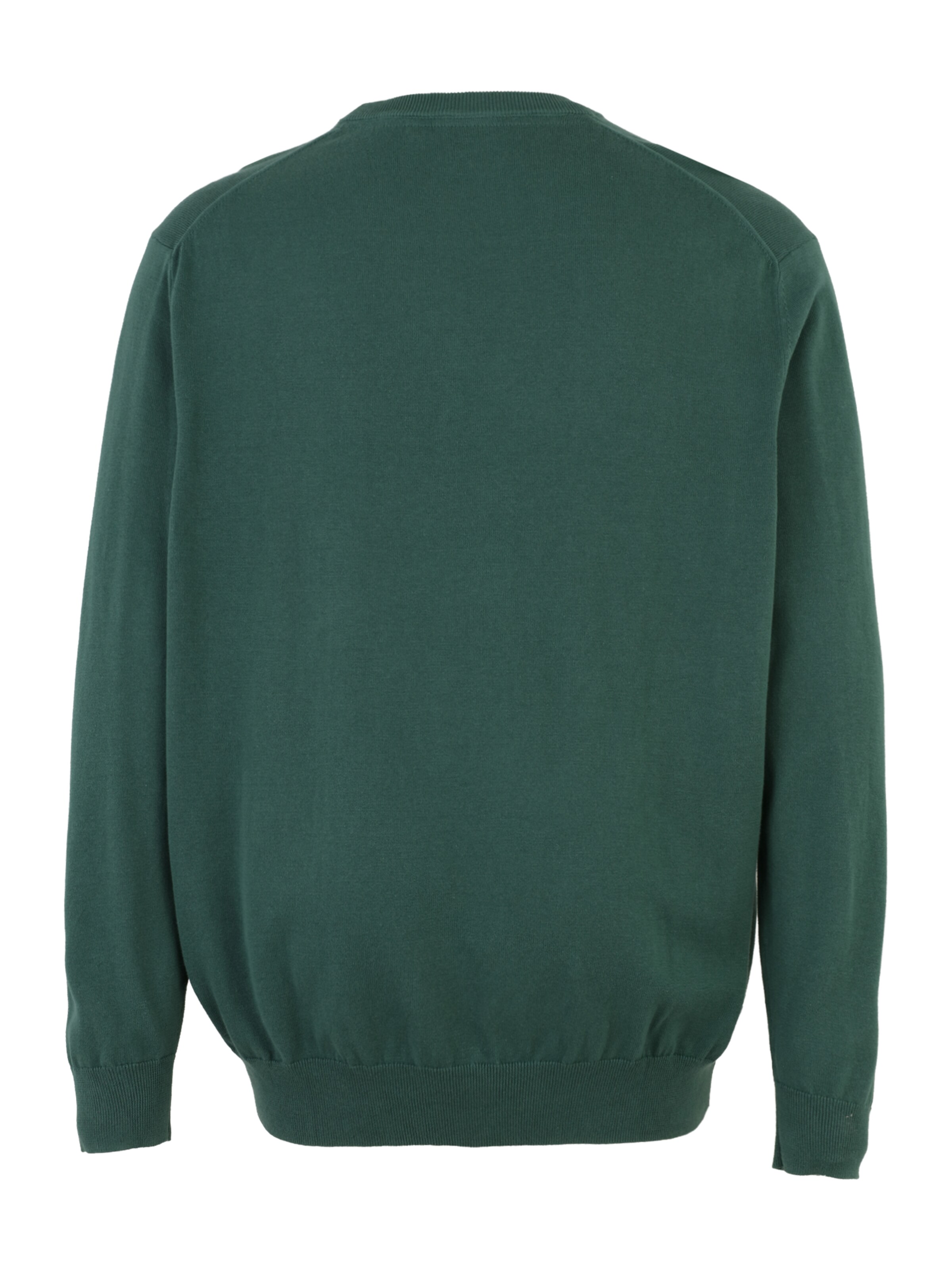 Lyle & Scott Big&Tall Pullover i grøn