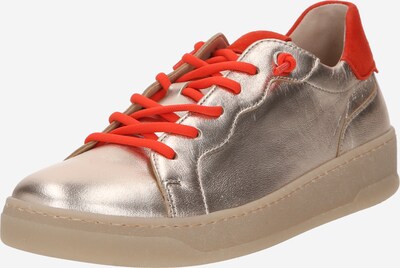 GABOR Sneakers laag in de kleur Goud / Poederroze / Oranjerood, Productweergave