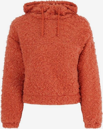 FRESHLIONS Sweatshirt in Orange: predná strana