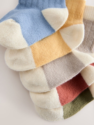 Next Socken in Mischfarben