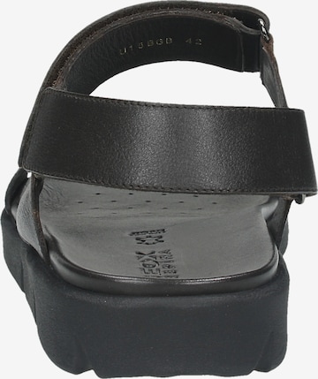 GEOX Slippers in Black