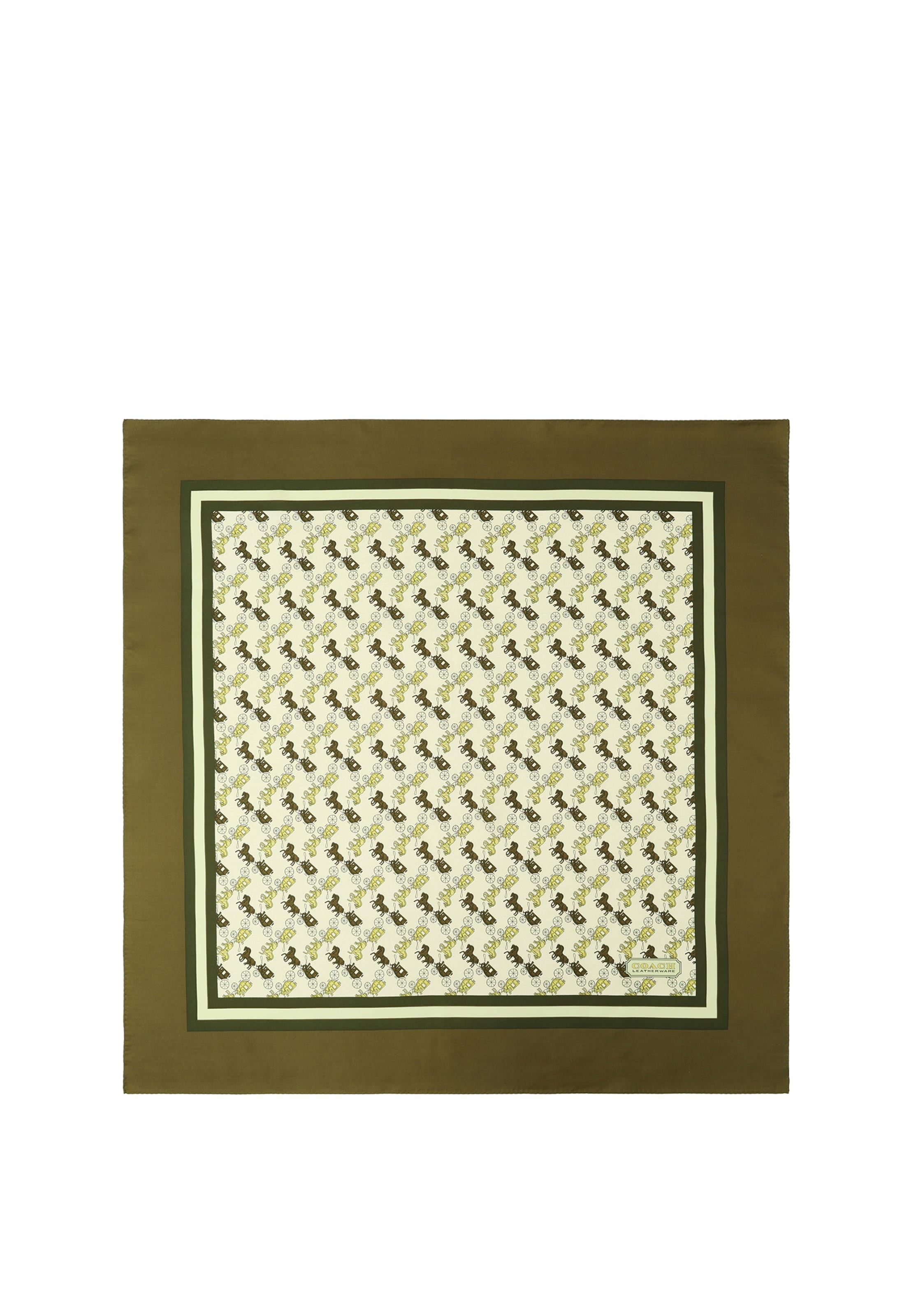 COACH Sjaal in Groen: voorkant