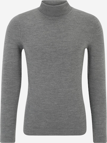 DRYKORN Sweater 'JOEY' in Grey: front