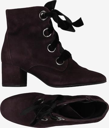 Högl Dress Boots in 38 in Purple: front