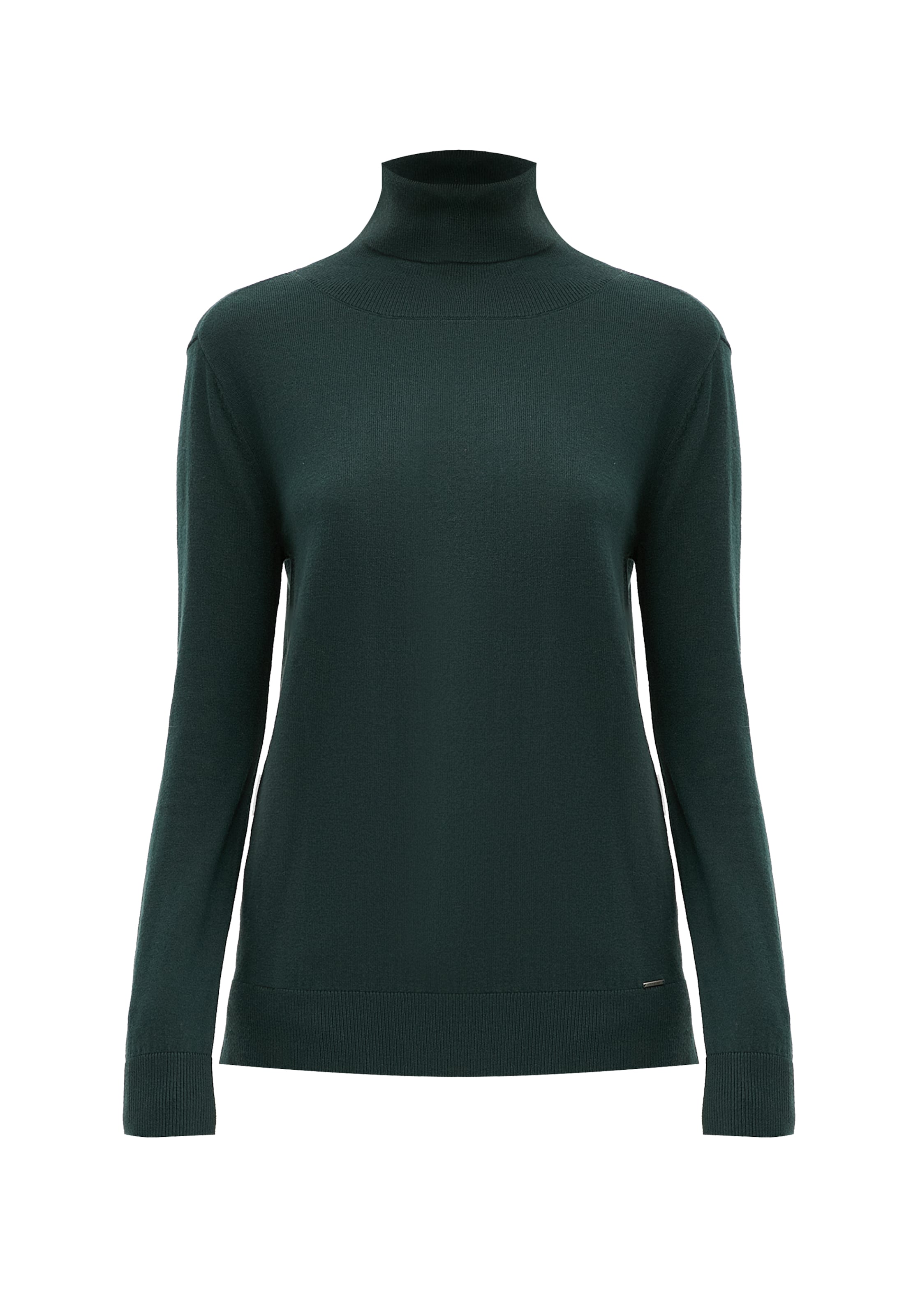 Finn Flare Langarmpullover 'Basic' in Grün: Vorderseite