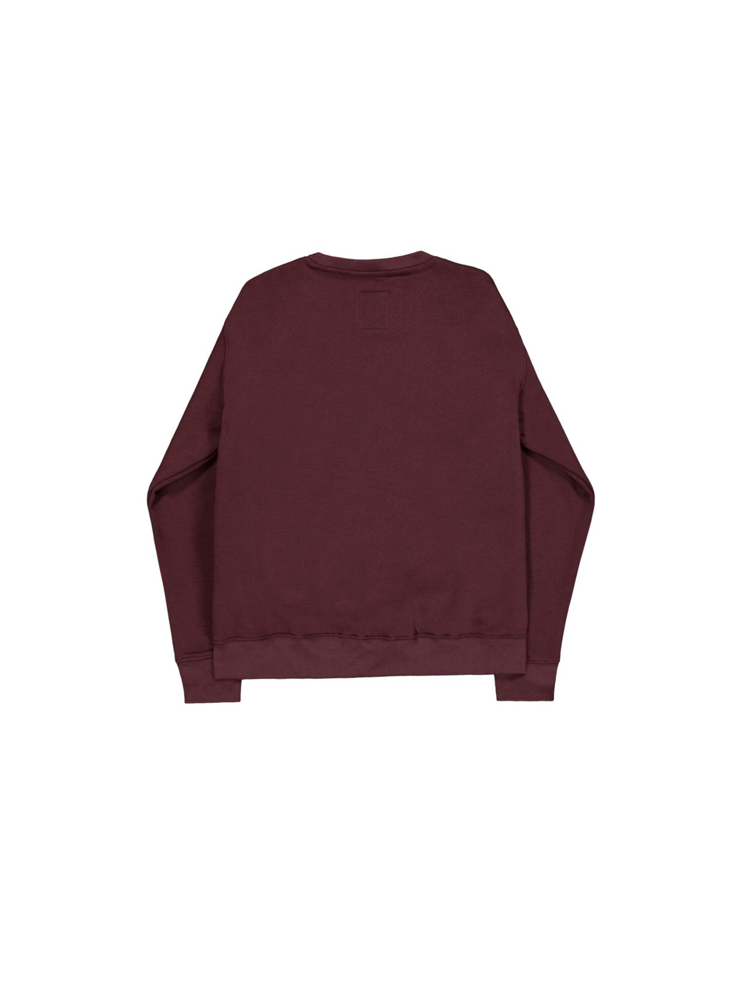 ALPHA INDUSTRIES Sweatshirt 'Basic'‌‌ in Rot