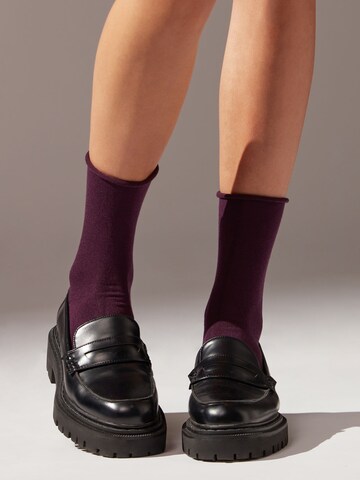 CALZEDONIA Socks in Purple: front
