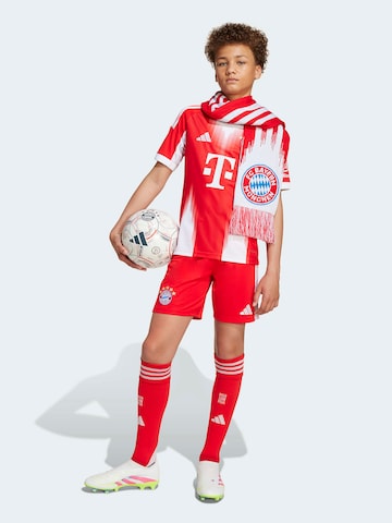 ADIDAS PERFORMANCE - regular Pantalón deportivo 'FCB' en rojo