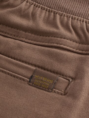 regular Pantaloni di Next in marrone