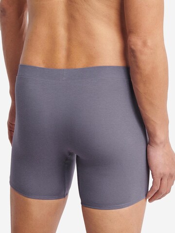 SLOGGI Boxer shorts 'men GO Natural' in Blue