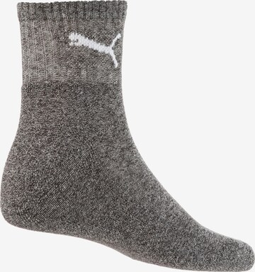 PUMA Socks in Grey