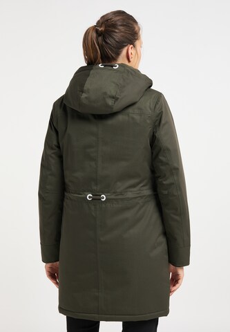 ICEBOUND Winter Parka in Green