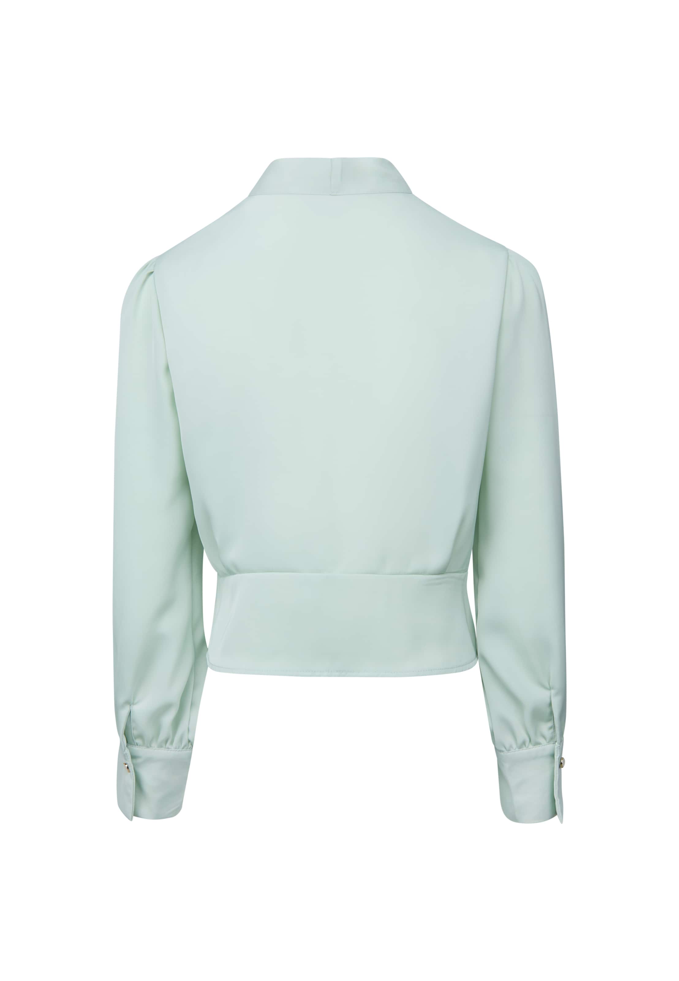 usha BLACK LABEL Blouse in Groen