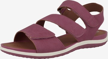 GEOX Sandalen met riem 'Sand. Vega' in Rood: voorkant