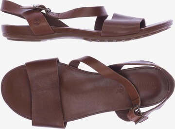 TIMBERLAND Sandalen 44 in Braun: Vorderseite
