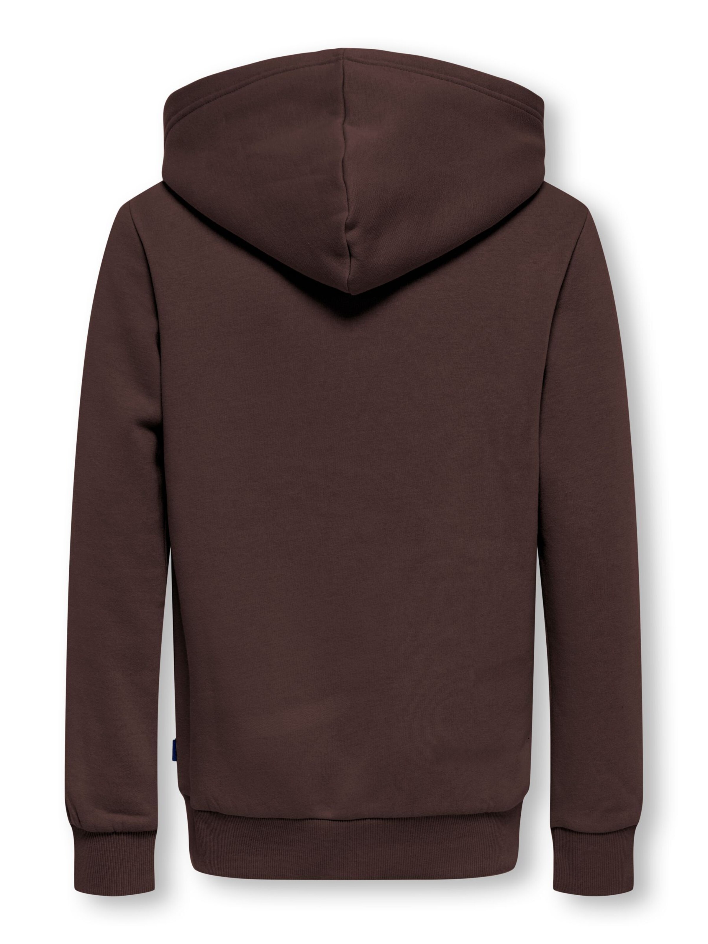 Only & Sons Junior Sweatshirt 'OSJCeres' in Brown