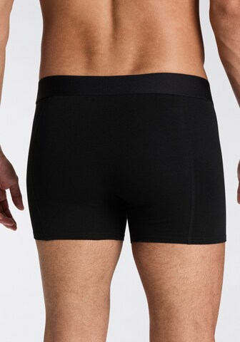 JACK & JONES Boxer shorts in Black