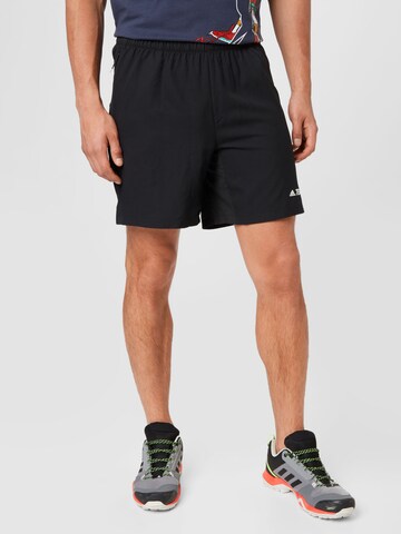 Regular Pantalon de sport ADIDAS TERREX en noir : devant