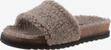 GABOR Slippers in Grey: front