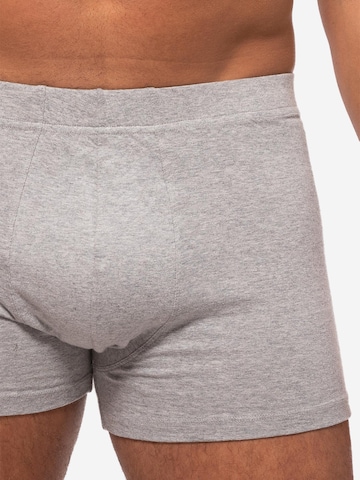 Almonu Boxer shorts 'Cotton' in Blue