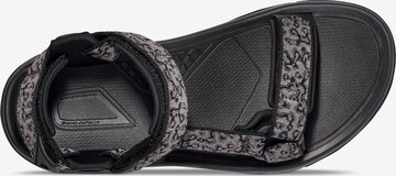 TEVA Hiking Sandals 'Terra Fi 5 Universal' in Black
