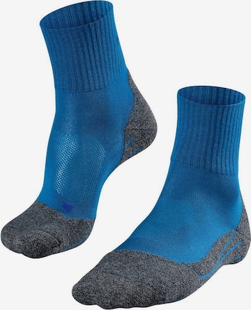 Calzino sportivo di FALKE in blu: frontale