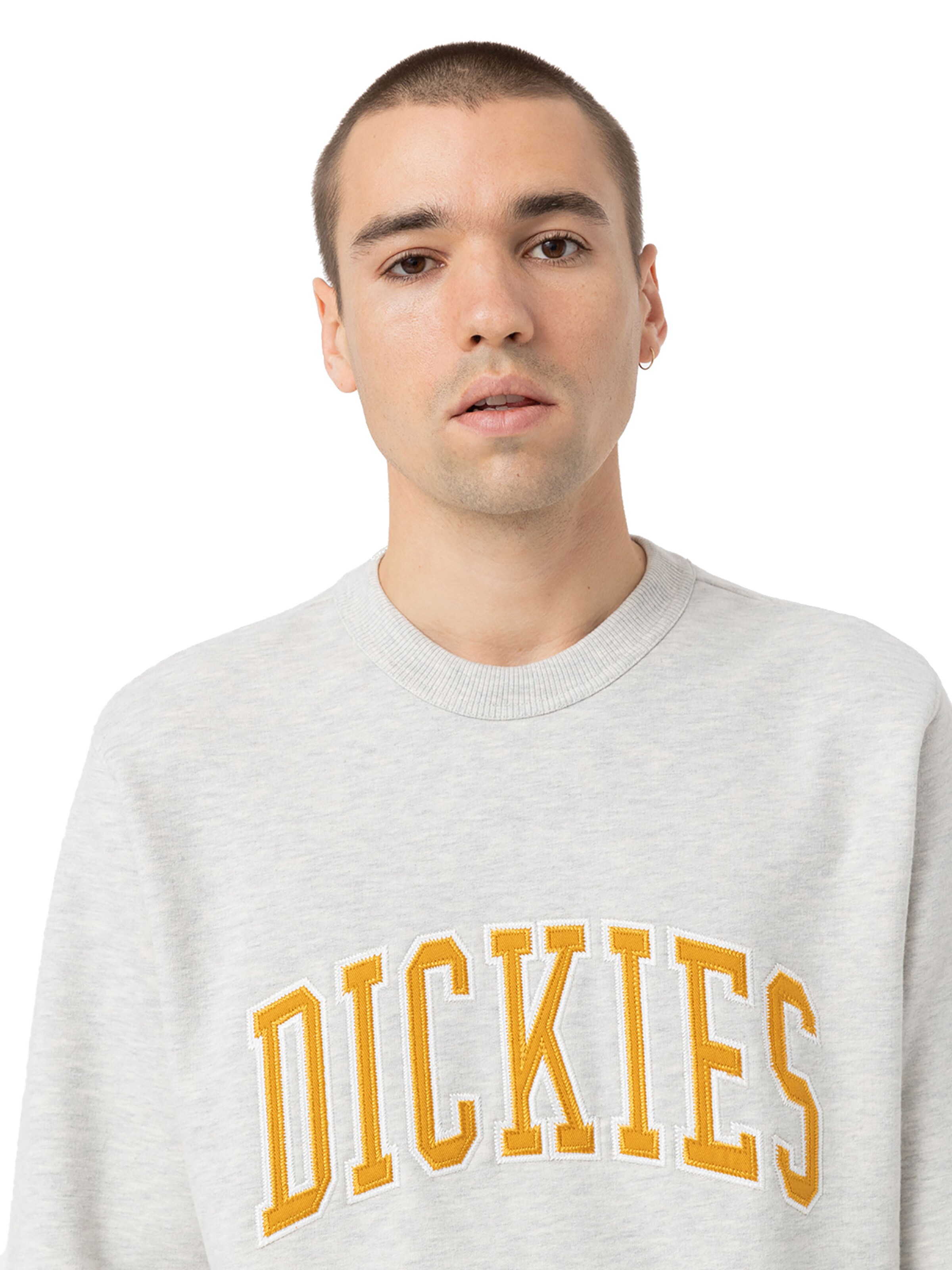 DICKIES - Sweatshirt 'Aitkin' em cinzento