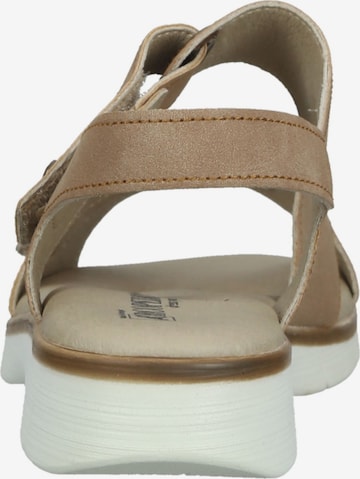 Arcopedico Strap Sandals in Brown