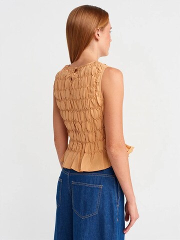 Dilvin Top in Brown
