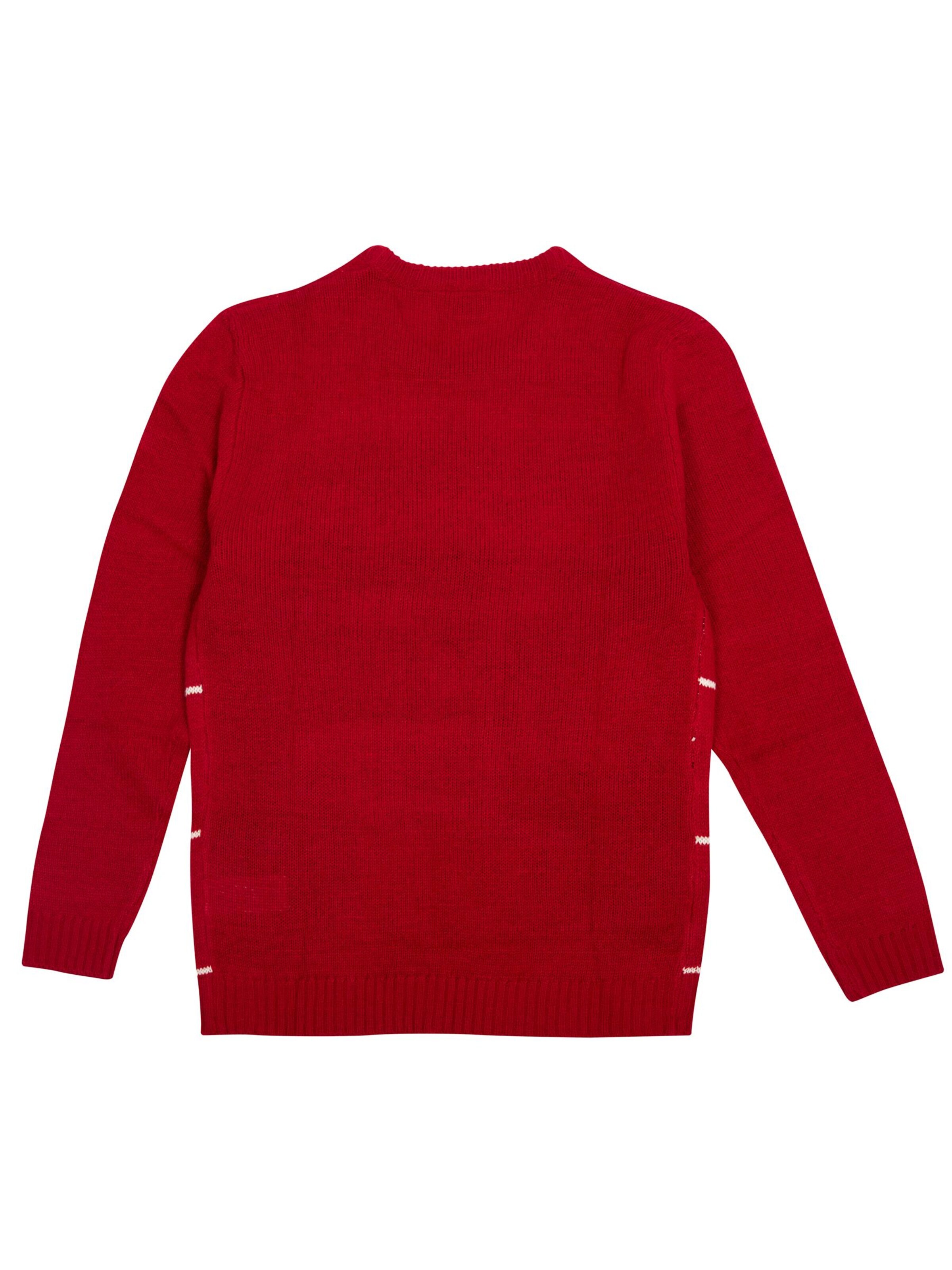 Snoopy & Die Peanuts Sweater 'Weihnachtspullover' in Red