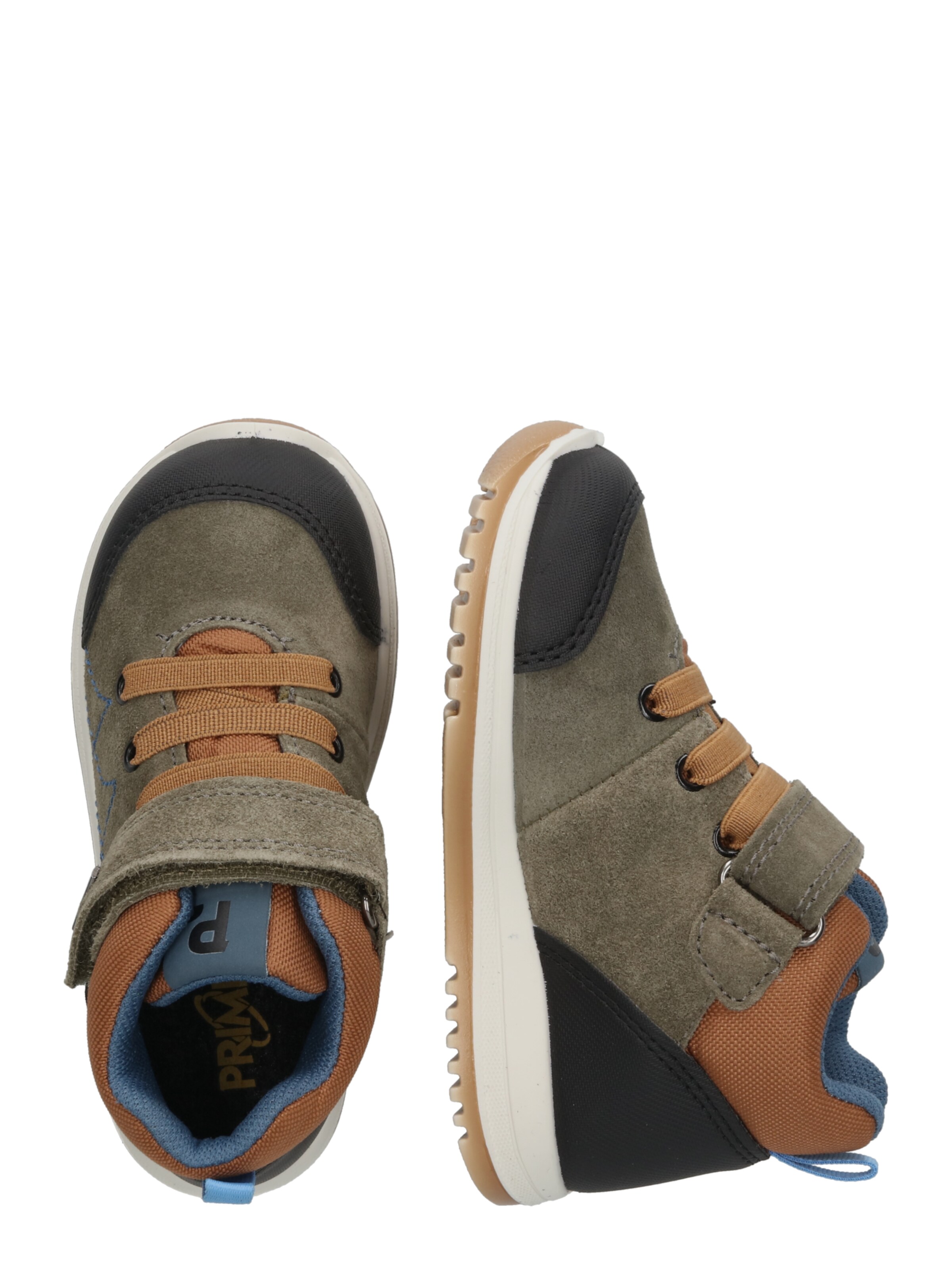 PRIMIGI Trampki 'PTIGT' w kolorze brązowy