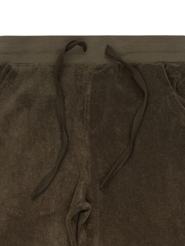 Loosefit Pantalon 'Pantalon Sponge' LDB en gris