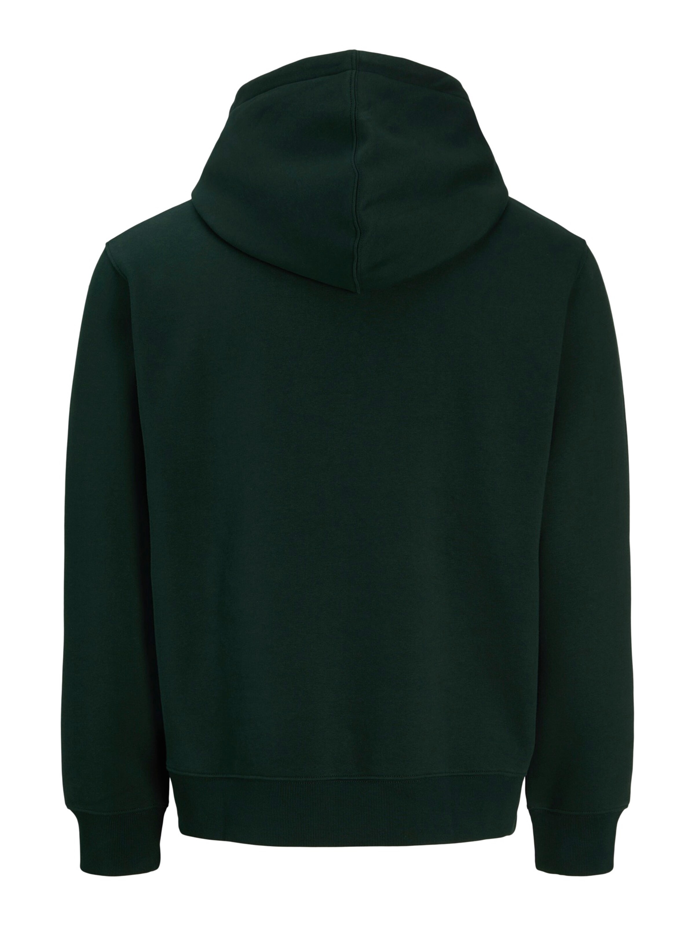 žalia JACK & JONES Megztinis be užsegimo 'JJESTAR'
