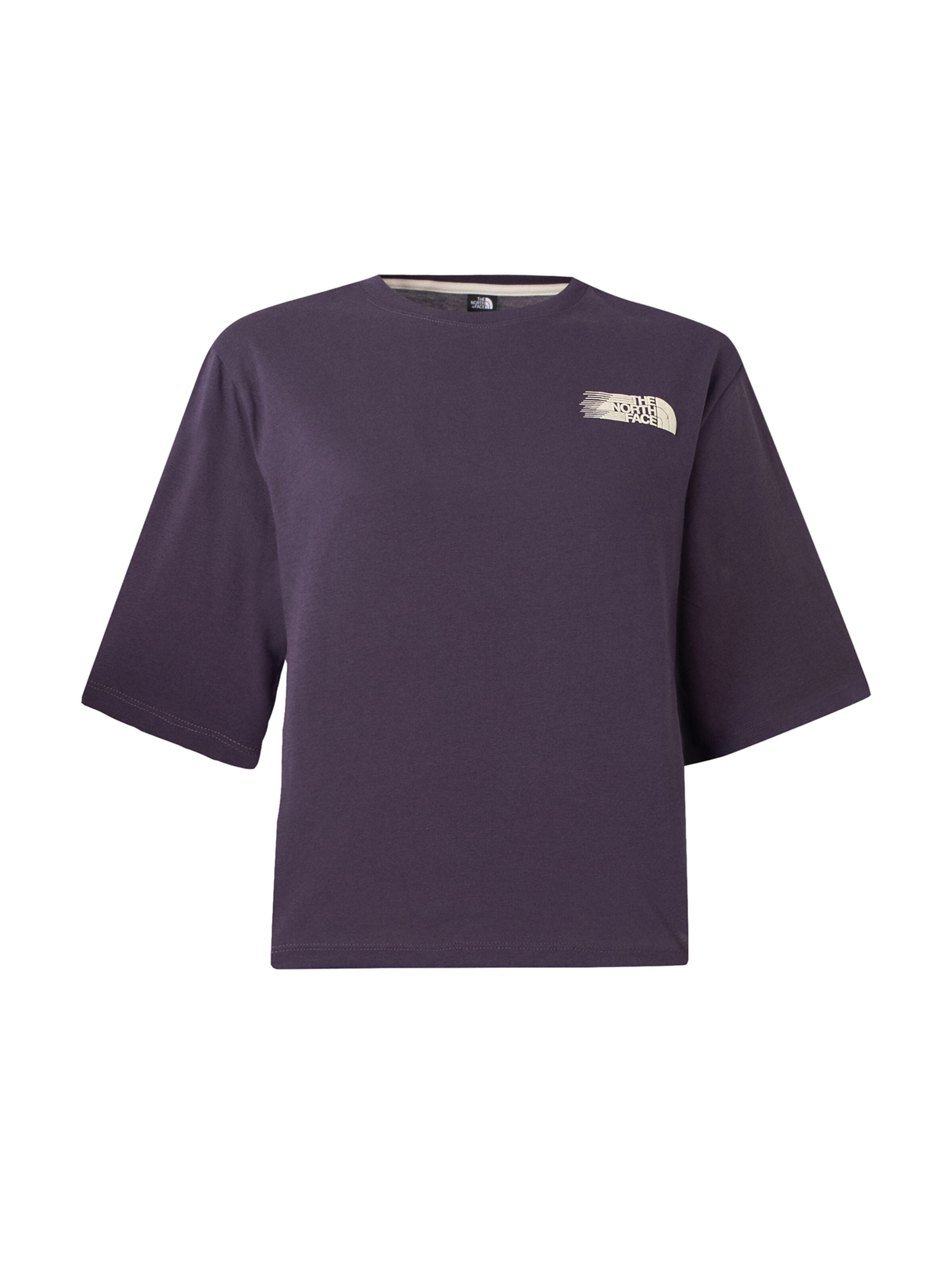 THE NORTH FACE Performance Shirt in Purple: front
