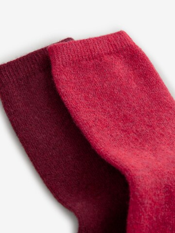 Next - Calcetines en rojo