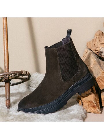 Palado Chelsea boots 'Adidon' in Bruin