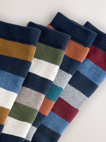 Next Socks in Mixed colours